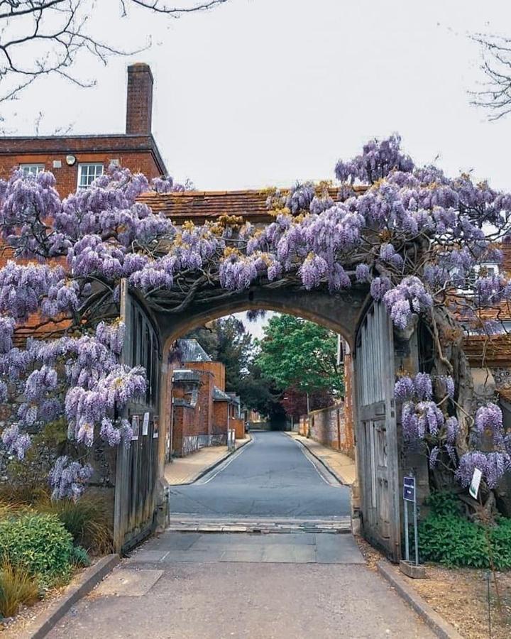 Winchester Retreat Daire Dış mekan fotoğraf